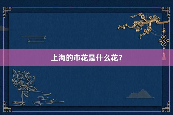 上海的市花是什么花？