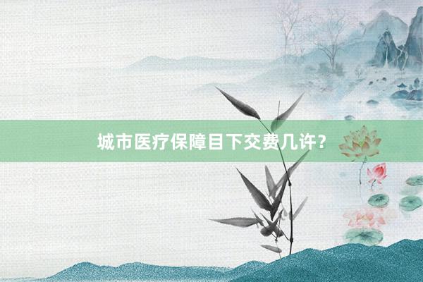 城市医疗保障目下交费几许？