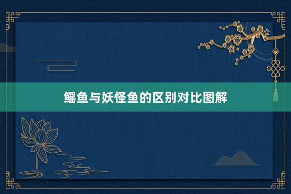 鳐鱼与妖怪鱼的区别对比图解